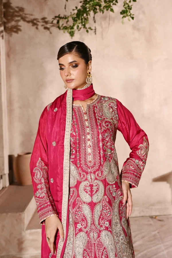 rg11p-7.webp Rosalie Fuchsia Tila Embroidered 3PCS – RG11 P - party wear | Rangoli