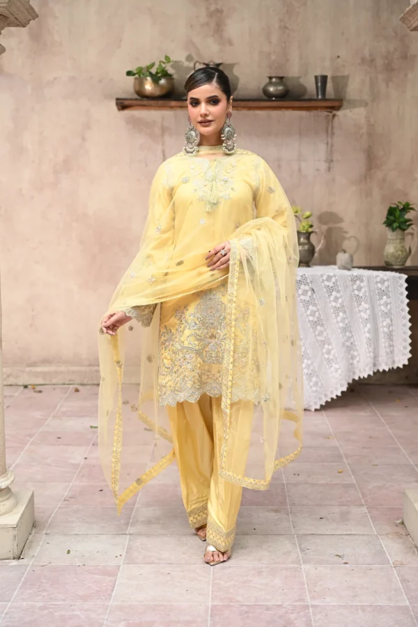 rg14g-2.webp Aurelia Golden Tila Embroidered 3PCS – RG14 G - Party Wear | Rangoli