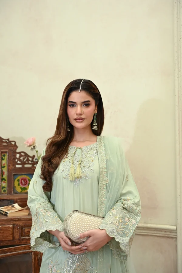 rg14m-2.webp Elara Mint Green Tila Embroidered 3PCS – RG14 M - Party Wear | Rangoli