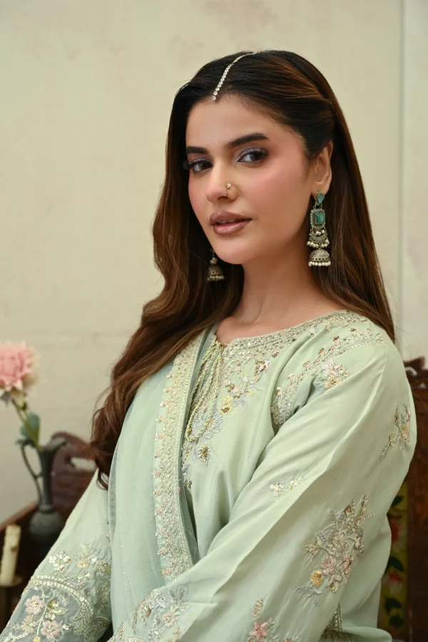 rg14m-4.webp Elara Mint Green Tila Embroidered 3PCS – RG14 M - Party Wear | Rangoli