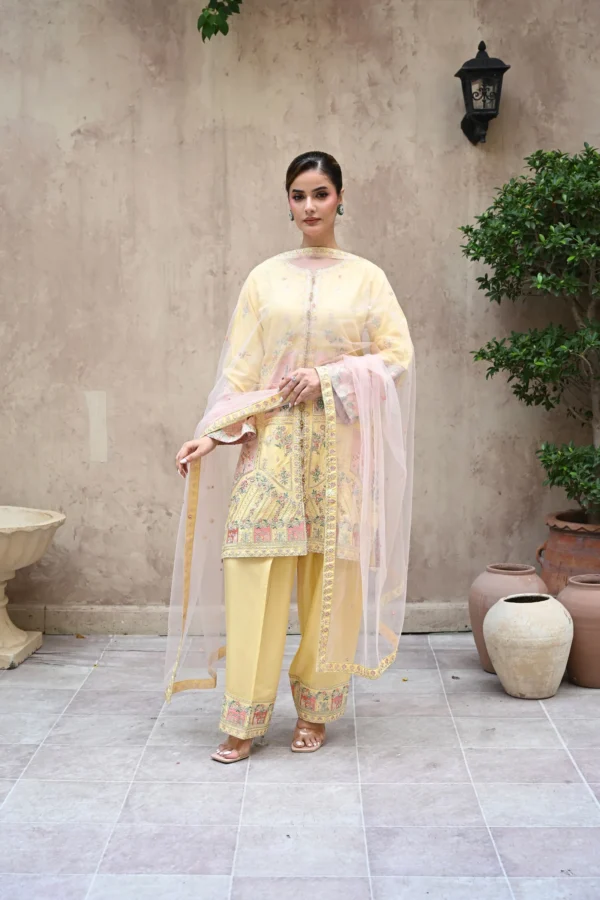 rg17y-4.webp Aurelia Mustard Tila Embroidered 3PCS – RG17 Y - Party Wear | Rangoli