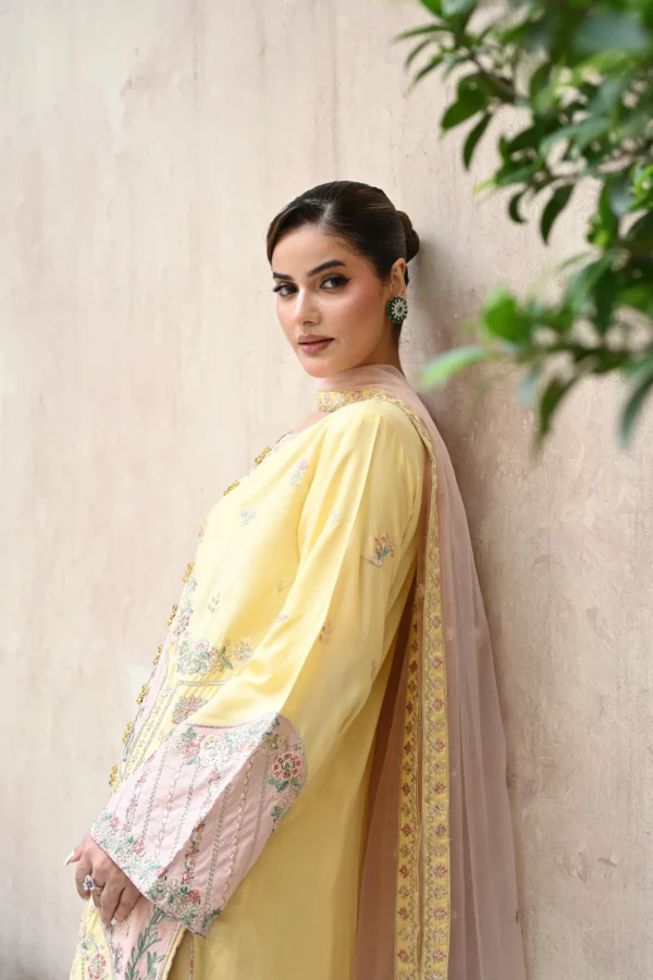 rg17y-5.webp Aurelia Mustard Tila Embroidered 3PCS – RG17 Y - Party Wear | Rangoli