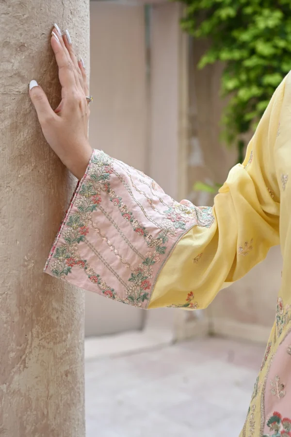 rg17y-6.webp Aurelia Mustard Tila Embroidered 3PCS – RG17 Y - Party Wear | Rangoli