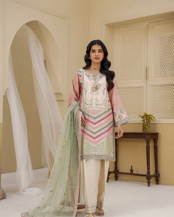 Rosalie Peach Embroidered 3PCS – RG26 P - party wear | Rangoli